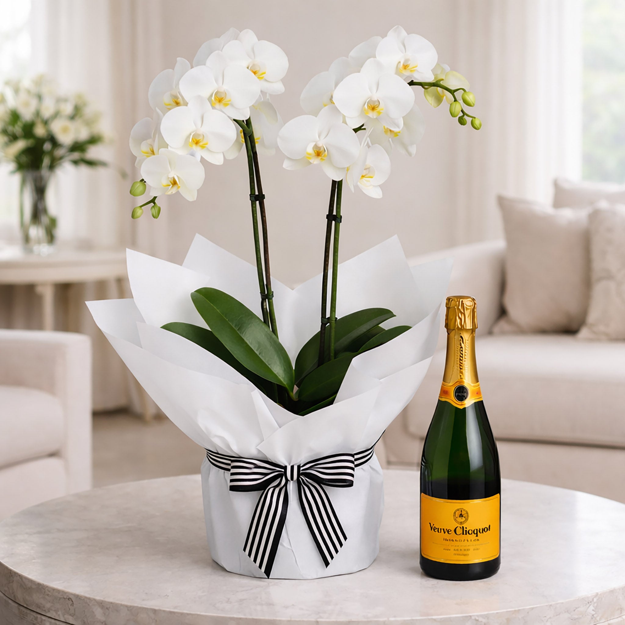 Orchid and Champagne